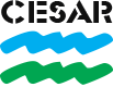 Elearning Cesar