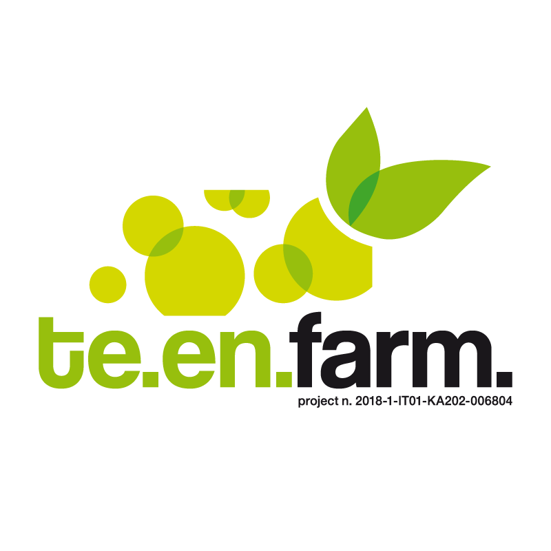 Social-Teenfarm.png