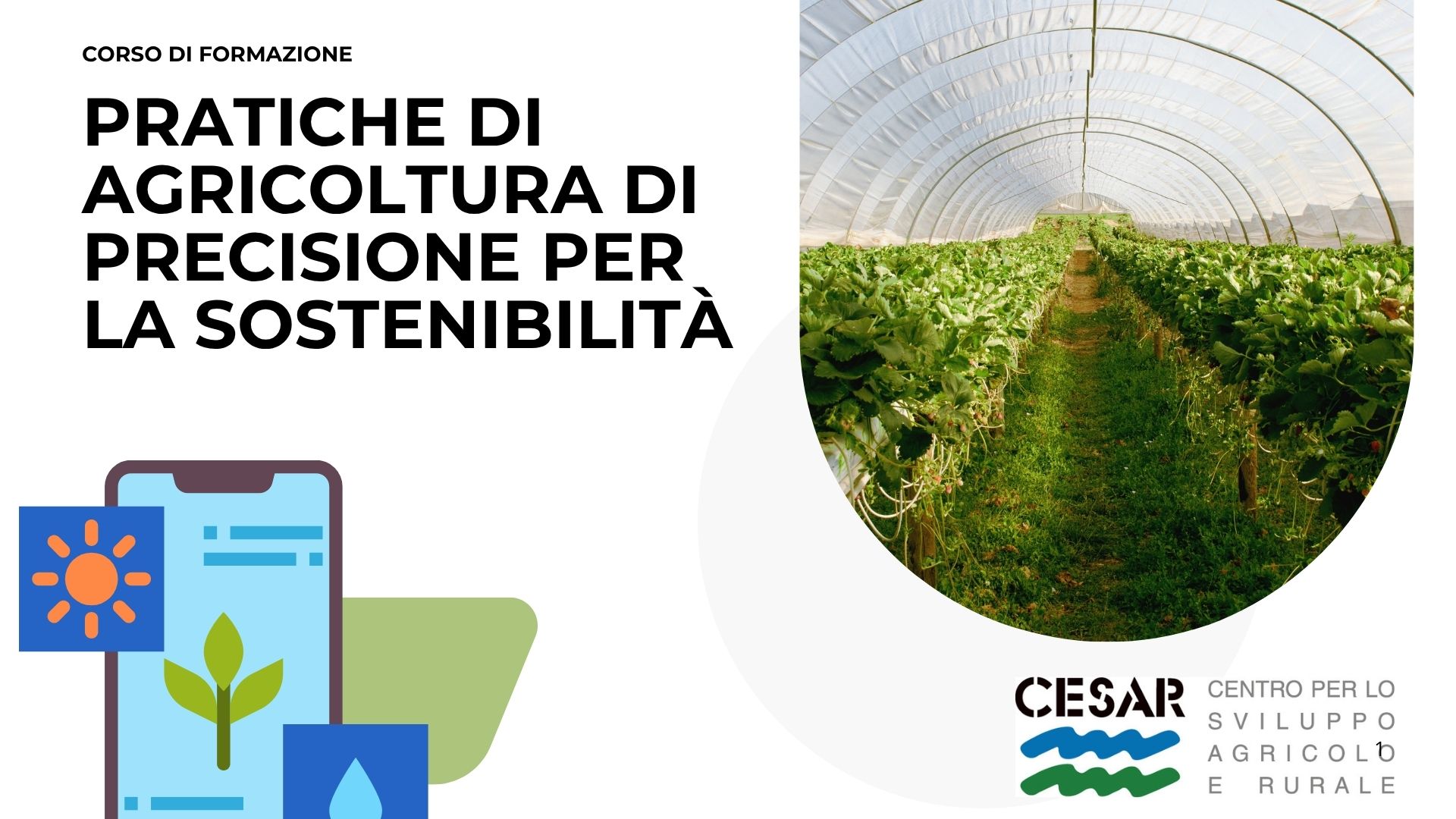 Pratiche di agricoltura di precisione per la sostenibilità