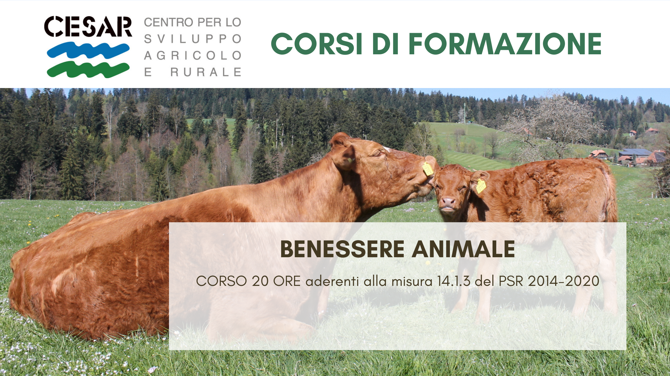 benessere animale_14.1.3.png